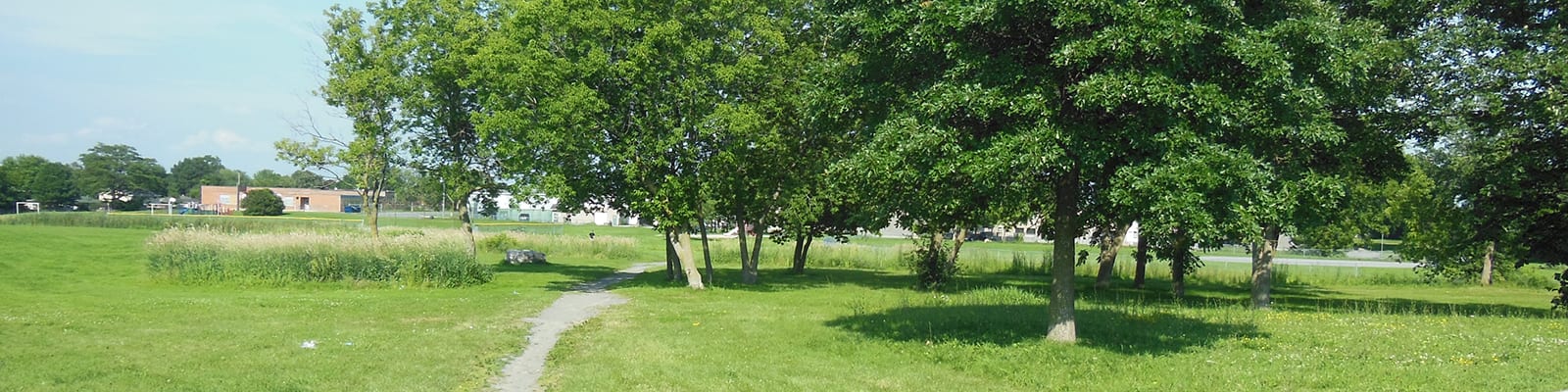 Open space with trees on the right side of the frame.