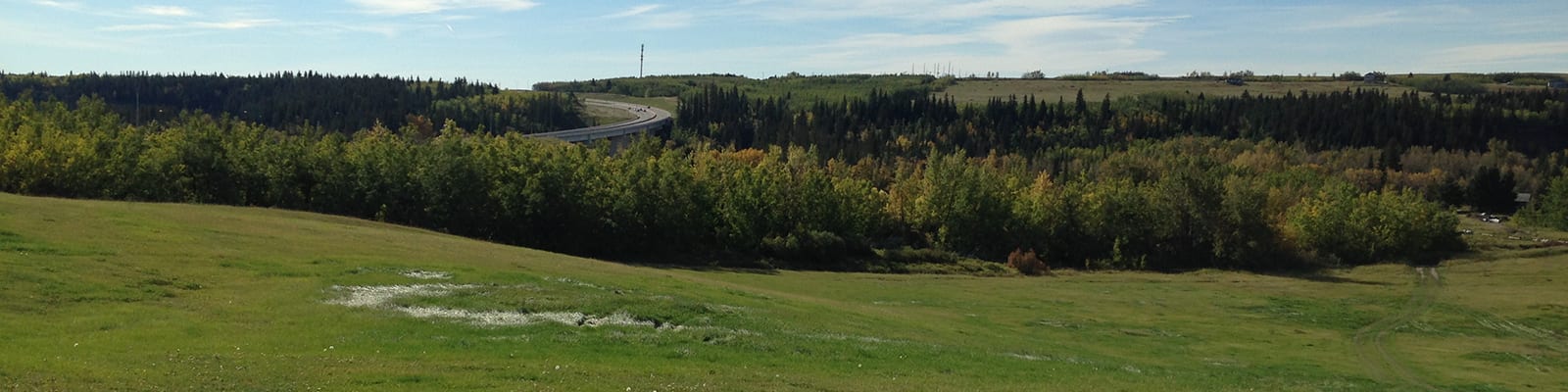 Rolling hills with trees in the background.