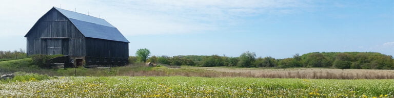 Open field with a barn in the background.